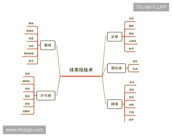 深圳排球队的转换打法深度分析与战术创新探讨
