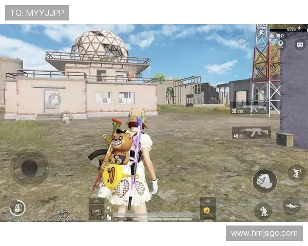 和平精英战术解析：深入探讨WE战队的节奏体系与战术运用